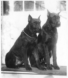 Marius&Belco img