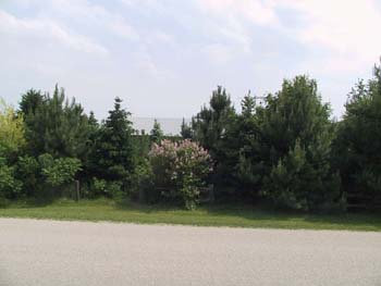acrossroad