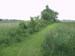 eastfence2