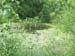 pond2