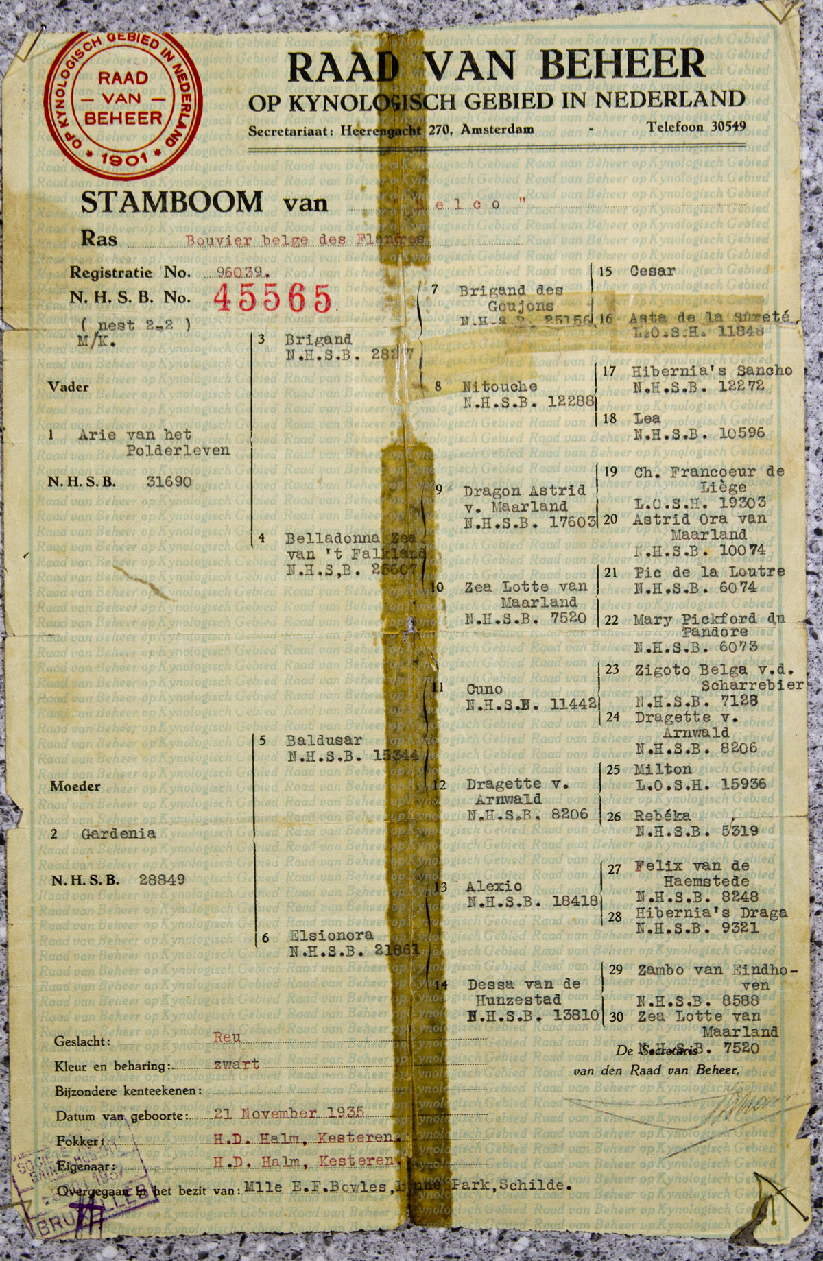 BelcoPedigree1200  JPG