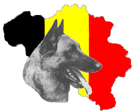 FCI Logo jpg