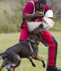 Waine&GSD
